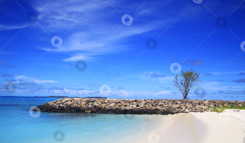 Скачать Берег океана на курорте фотосток Ozero