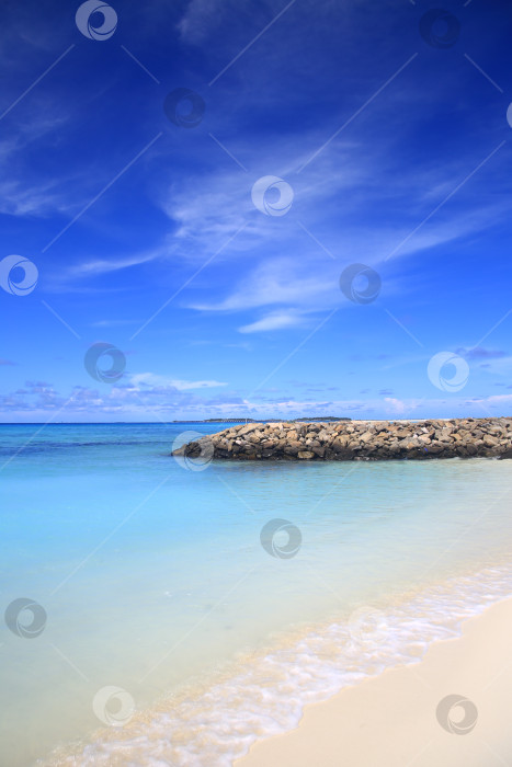 Скачать пляж, небо и растения на курорте фотосток Ozero