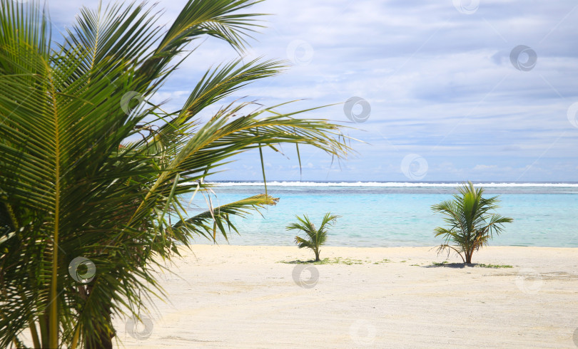 Скачать Берег океана на острове фотосток Ozero