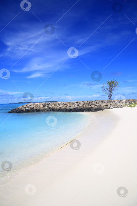 Скачать Берег океана на острове фотосток Ozero