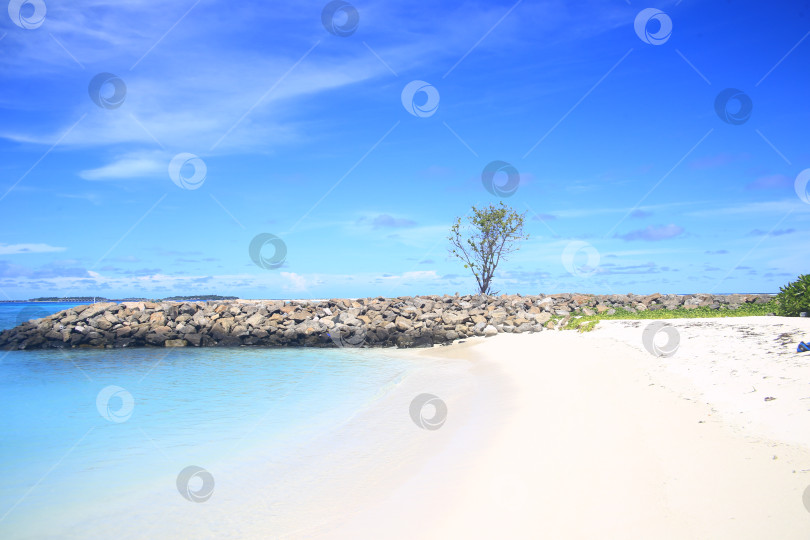 Скачать Берег тропического пляжа фотосток Ozero
