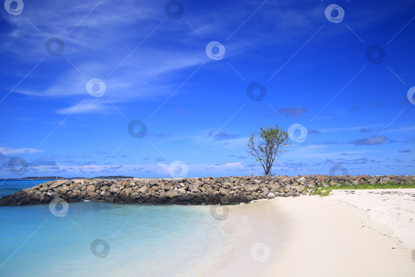 Скачать Берег пляжа на острове курорта фотосток Ozero