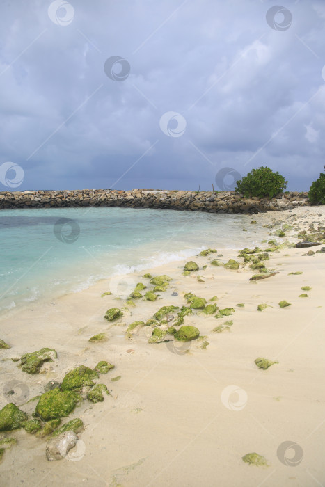 Скачать Пляж на курорте фотосток Ozero