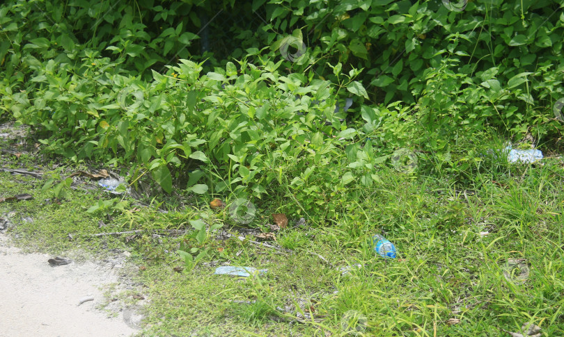 Скачать Зелень и кусты на улице фотосток Ozero