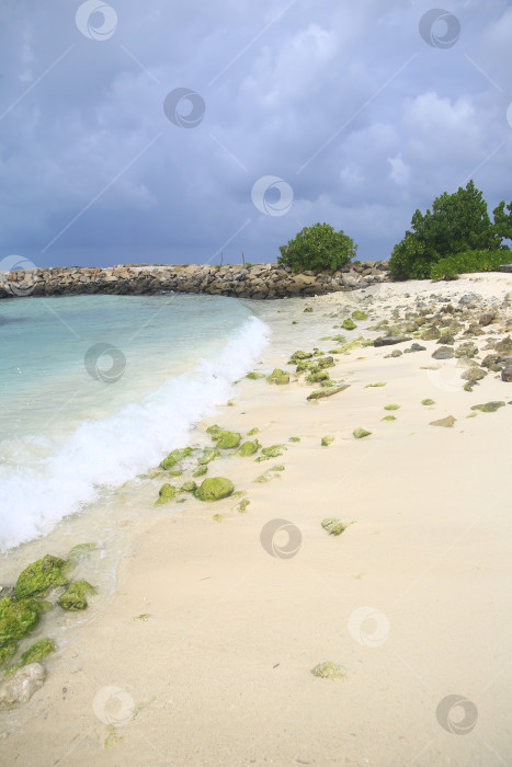 Скачать Берег Пляжа на курорте фотосток Ozero