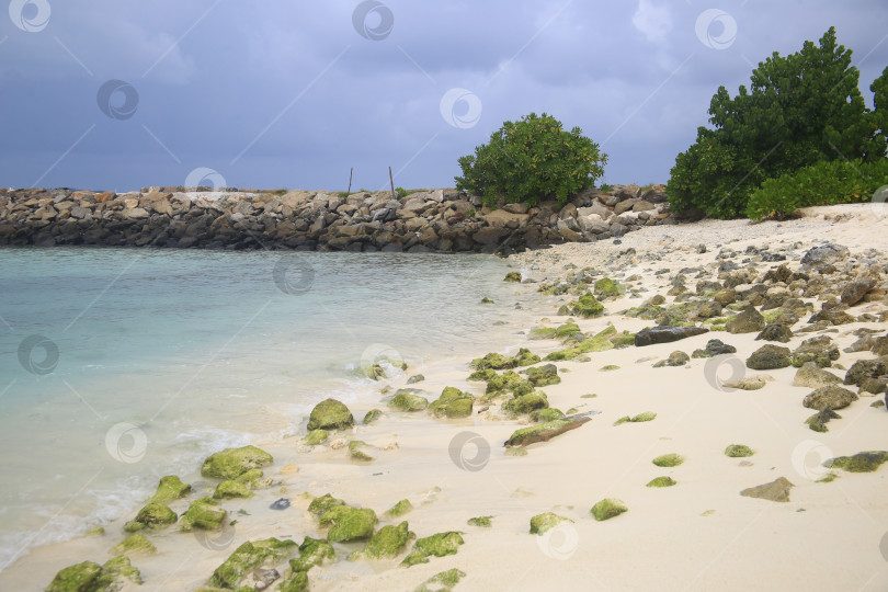 Скачать Пляж, камни и синее небо фотосток Ozero