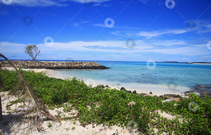 Скачать Пляж на курорте фотосток Ozero