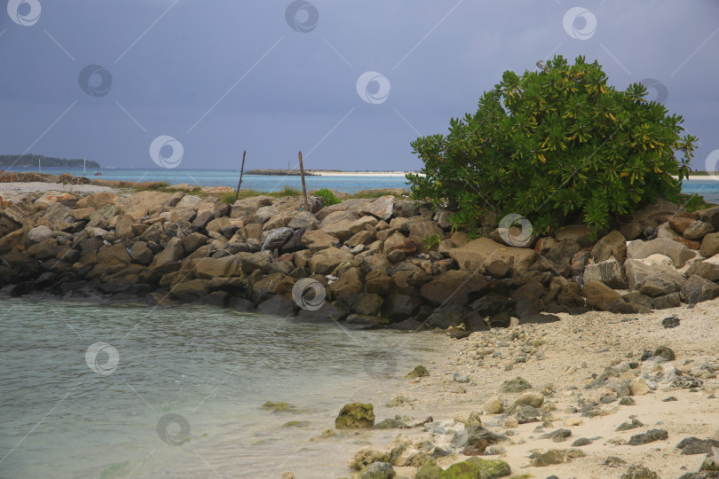 Скачать Пляж в океане фотосток Ozero