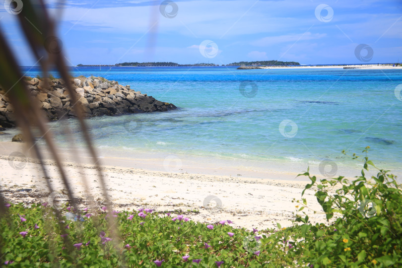 Скачать Пляж на курорте фотосток Ozero