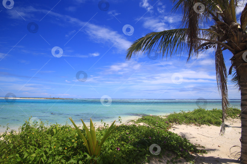 Скачать Пляж на курорте фотосток Ozero