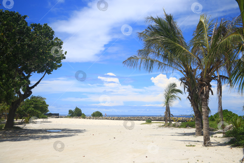 Скачать Пляж на курорте фотосток Ozero