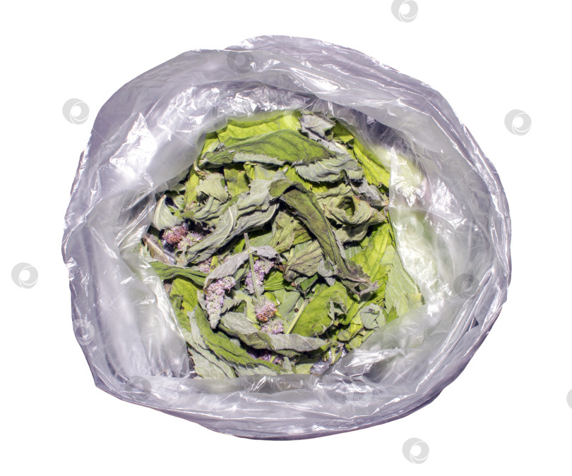 Скачать Сушеные листья мяты.Соцветия мятного растения.Сушеная мята для заваривания.Мятный фон. фотосток Ozero