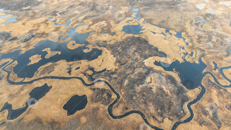 Скачать Вид на реку Алтай с высоты птичьего полета. Прекрасный пейзаж с высоты птичьего полета фотосток Ozero