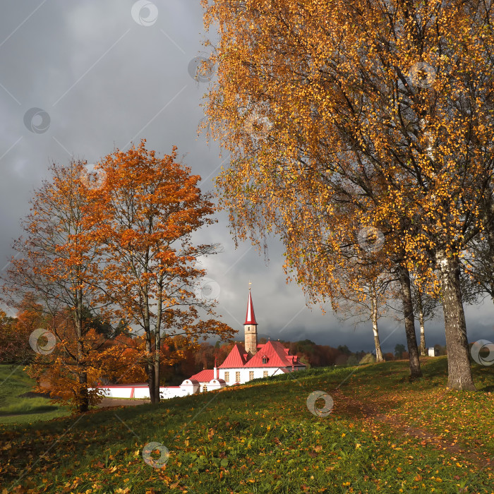 Скачать осенний парк с красными березами рядом со старинным дворцом фотосток Ozero