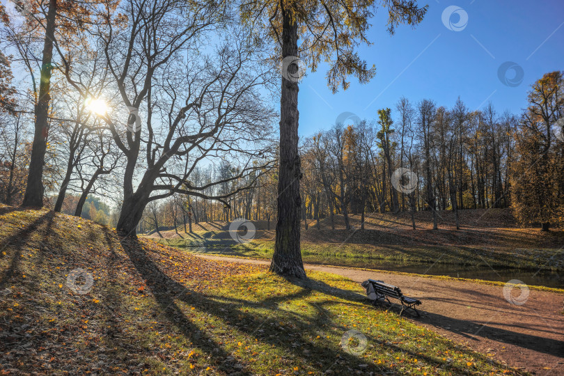 Скачать Осенняя аллея парка в солнечный день. фотосток Ozero