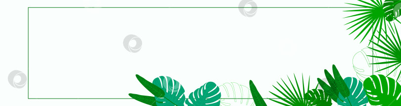 Скачать Шаблон баннера с тропическими листьями и пространством для текста. Подходит для веб-сайтов, объявлений, реклам, печатных ИЗДАНИЙ, закладок и многого другого. фотосток Ozero