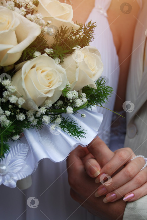 Скачать Свадьба. Крупный план на держащихся за руки жениха и невесту с букетом белых роз. фотосток Ozero