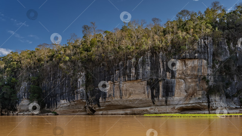Скачать Экзотическая африканская река. Спокойная коричневая вода. Зеленая трава на берегу. фотосток Ozero