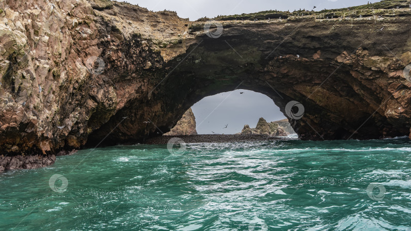 Скачать Естественная каменная арка в скале. Морские птицы, сидящие на утесе, летают в небе. фотосток Ozero
