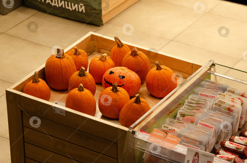 Скачать Разрисованная оранжевая тыква с черной рожицей для хэллоуина среди обычных оранжевых тыкв на витрине в деревянном ящике в зале магазина мираторг. Тыква с улыбкой фотосток Ozero