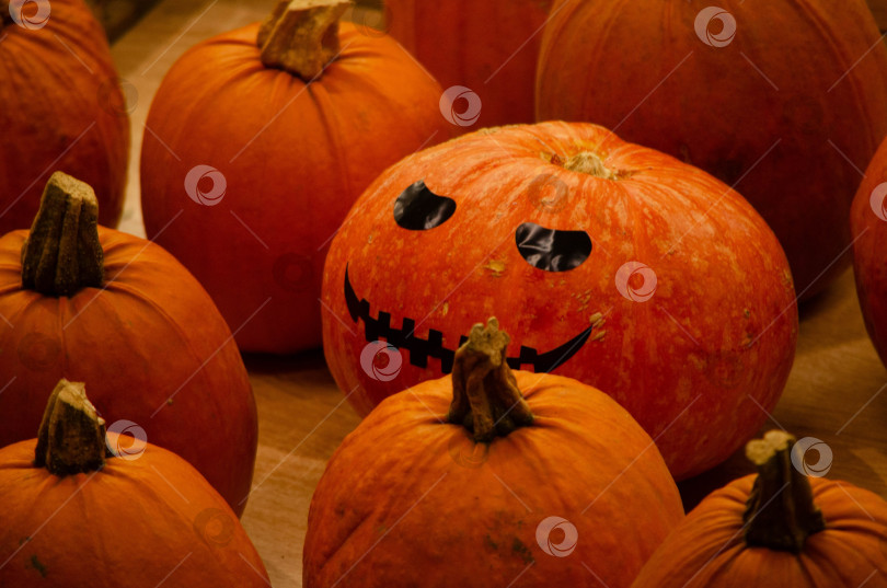 Скачать Разрисованная оранжевая тыква с черной рожицей для хэллоуина среди обычных тыкв на витрине в деревянном ящике в зале магазина мираторг. Тыква с улыбкой фотосток Ozero