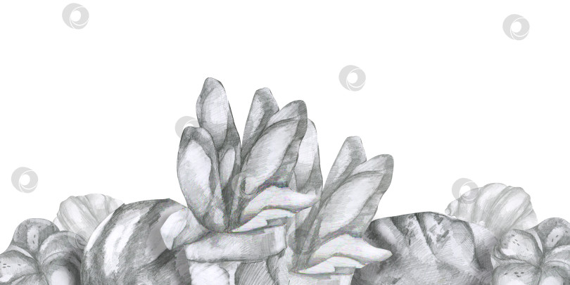 Скачать Баннер для хлебобулочных и кондитерских изделий, нарисованный карандашом от руки, с изображением свежего хлеба, батона и багета. Монохромная рамка для свежеиспеченных продуктов, нарисованная от руки, для кафе, оформления меню фотосток Ozero