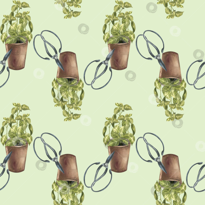 Скачать Свежая зелень базилика в коричневом горшочке с металлическими ножницами и акварельным бесшовным рисунком. Нарисованный вручную фон из органической зелени с ароматическими специями и приправами итальянской кухни для текстильного дизайна фотосток Ozero