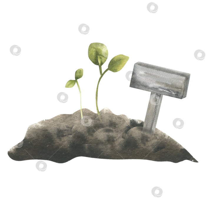 Скачать Весенний первый посев семян в чернозем с деревянной вывеской, выполненной акварелью. Нарисованный от руки клипарт из органической и эко-жизни для упаковки семян, дизайна для хобби в саду. фотосток Ozero