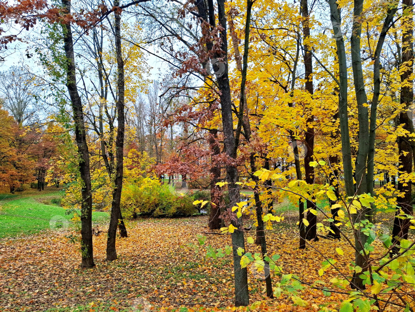 Скачать Осенний пейзаж, прогулка в осеннем парке фотосток Ozero