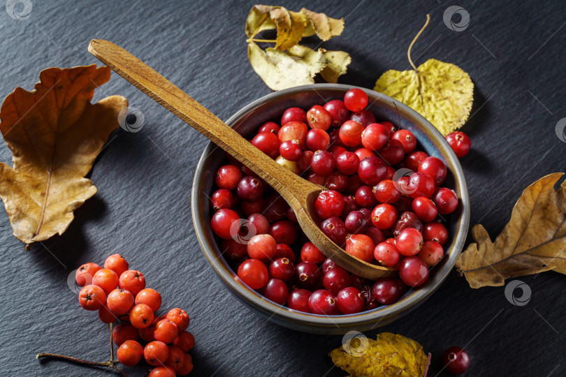 Скачать Ваза со сладкими красными ягодами напоминает об осеннем уюте и тепле фотосток Ozero