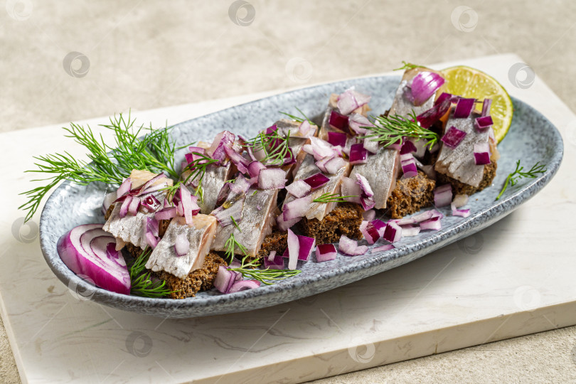 Скачать Черные ржаные крекеры с копченой сельдью, луком и укропом фотосток Ozero