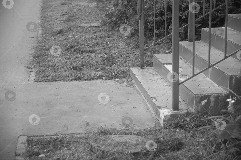 Скачать Вид на лестницу, двор и растения фотосток Ozero