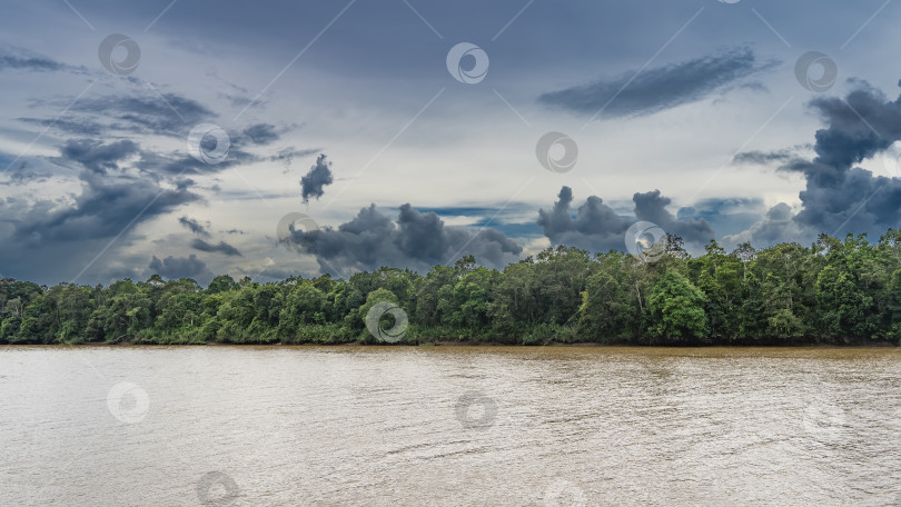Скачать Тропическая река в джунглях. Рябь на поверхности коричневой воды. фотосток Ozero