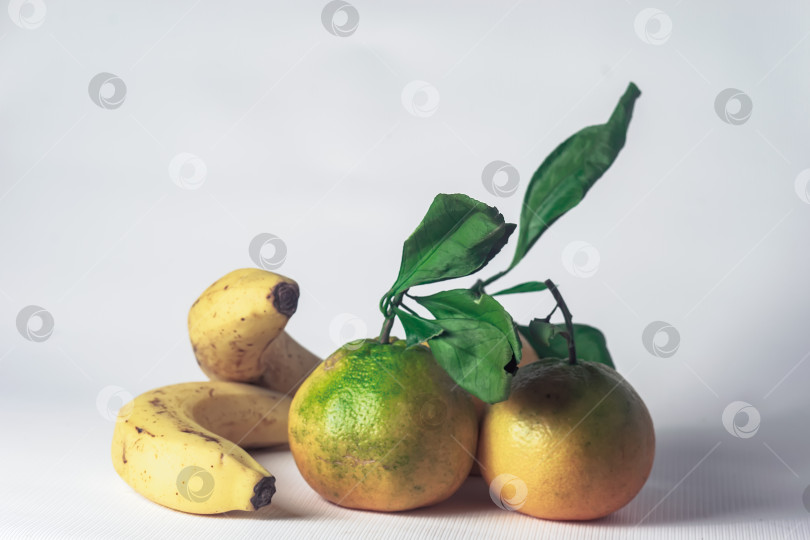 Скачать мандарины и бананы фотосток Ozero
