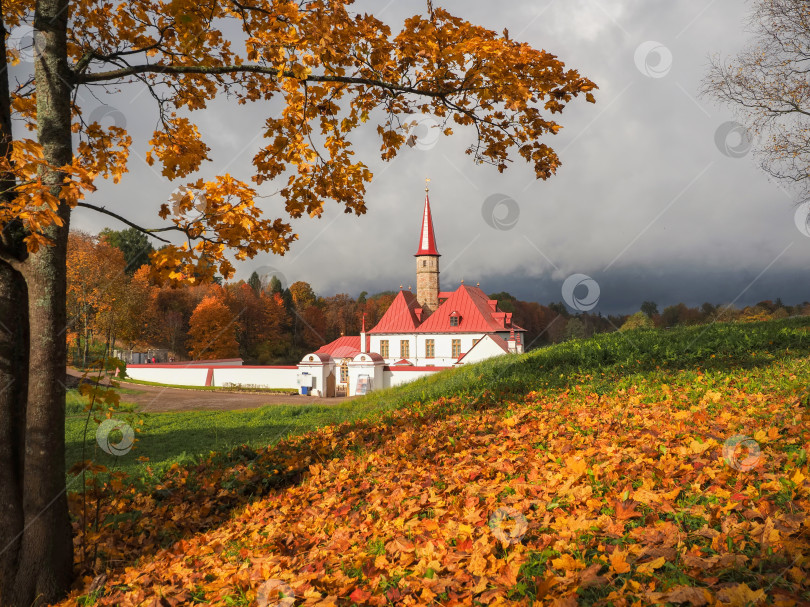 Скачать Гатчинский приоратский дворец. Россия. Осенью опадают золотистые клены.. фотосток Ozero