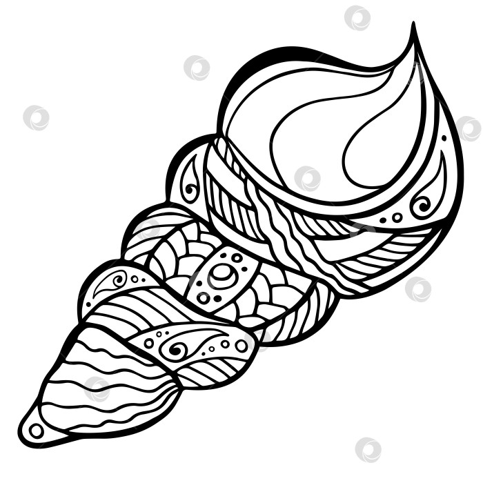 Скачать Полинезийская раковина, нарисованная вручную. Монохромная раковина маори в стиле дзен-арт, выделенная на белом фоне. Декоративная раковина в стиле дзен-каракули в племенном стиле для тату или раскраски для арт-терапии. фотосток Ozero