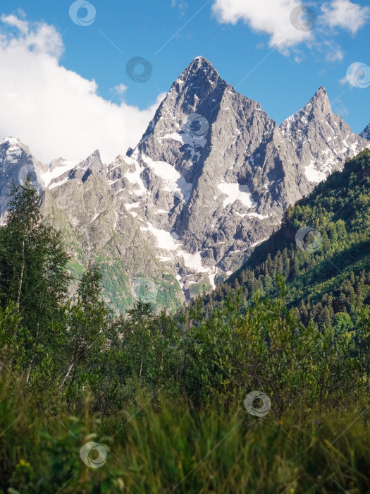 Скачать Величественный пейзаж лесного массива с заснеженными горами. фотосток Ozero