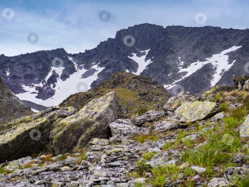 Скачать Прекрасный летний пейзаж с горной растительностью и заснеженными горами Северного Урала фотосток Ozero