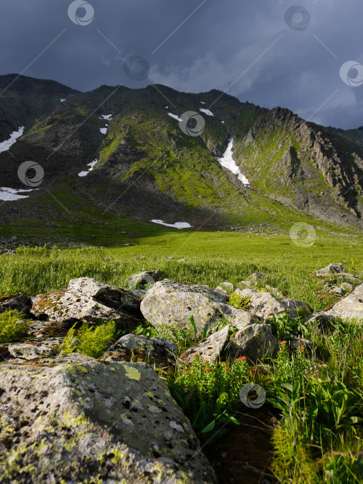 Скачать Горный пейзаж с падающими лучами солнца на зеленую лужайку и заснеженные горы. фотосток Ozero