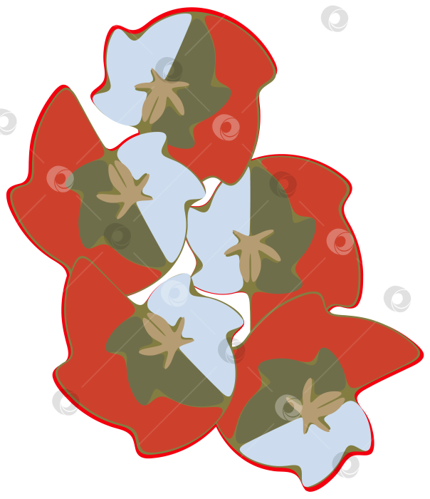 Скачать Оттиск растения настурция. Стилизованное растение с листьями для наклеек, печати на одежде, веб-сайтах, открытках. фотосток Ozero