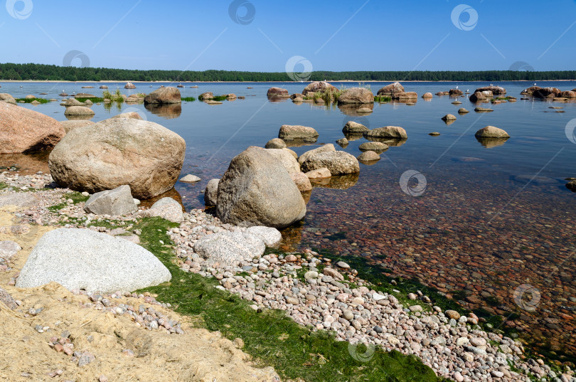 Скачать Береговая линия Финского залива.  фотосток Ozero