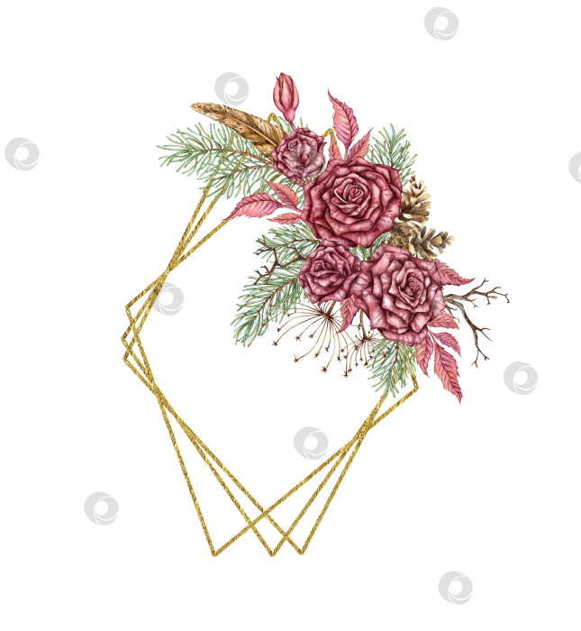 Скачать Розы сосновый ромб геометрическая рамка акварель фотосток Ozero