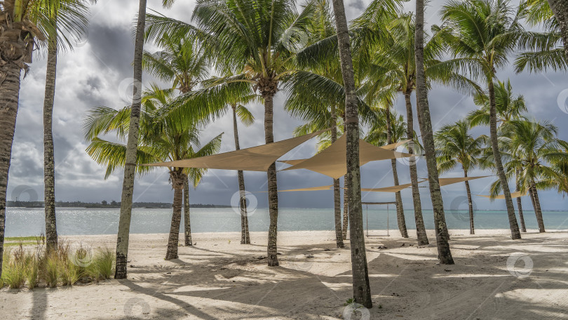 Скачать Прекрасный тропический пляж без людей. Качели подвешены между стволами пальм. фотосток Ozero