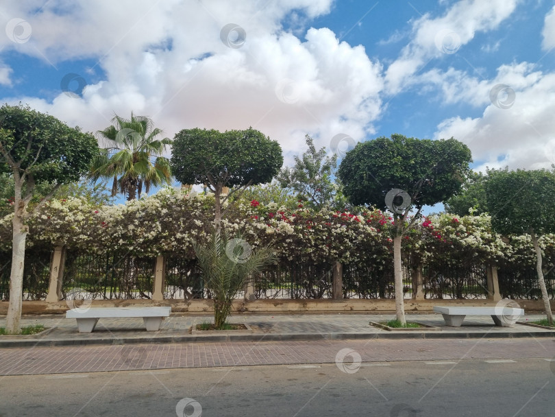 Скачать Парк фотосток Ozero