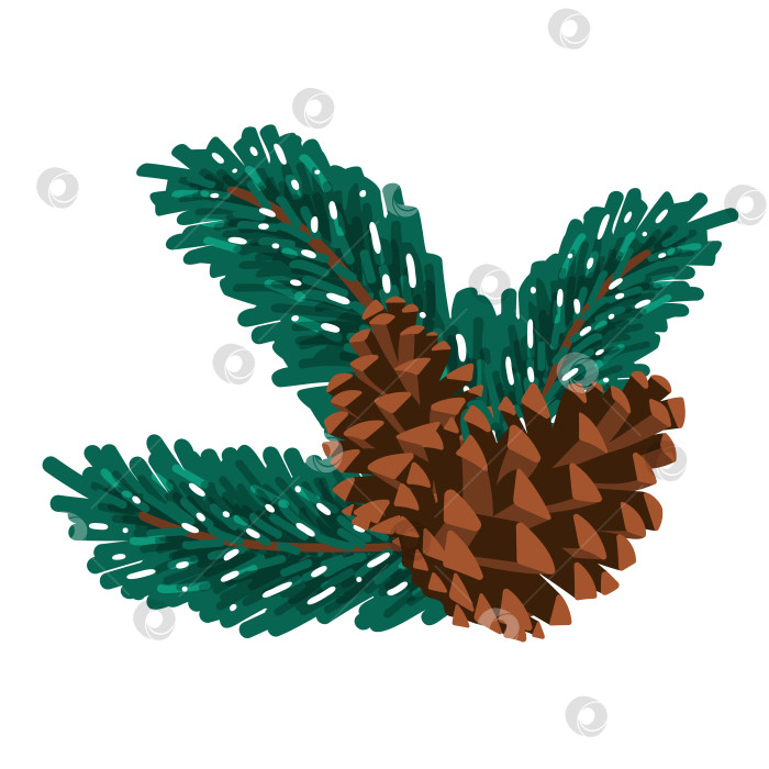 Скачать Клипарт из сосновых шишек и еловых веток фотосток Ozero