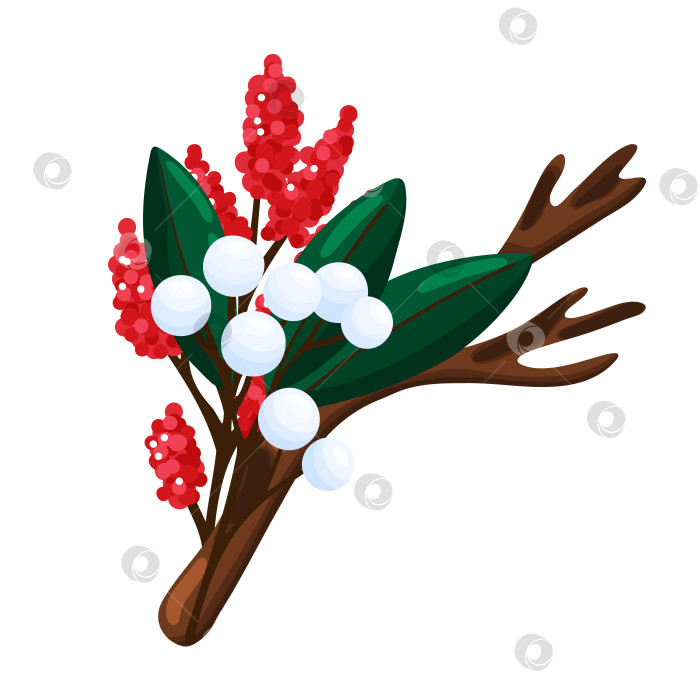 Скачать Декоративная ветка со снежными ягодами фотосток Ozero