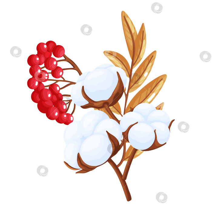 Скачать Ягоды рябины, хлопок и осенние листья фотосток Ozero