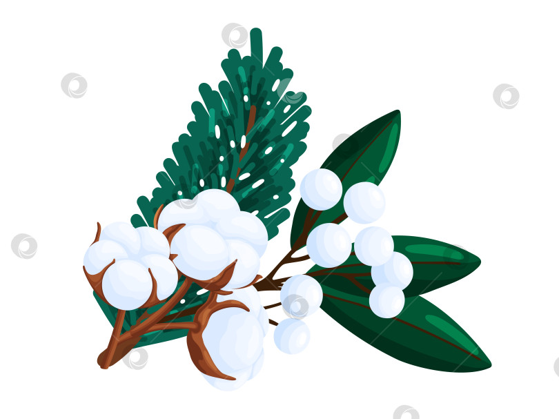 Скачать Композиция из зимней сосны, хлопка и снежноягодника фотосток Ozero