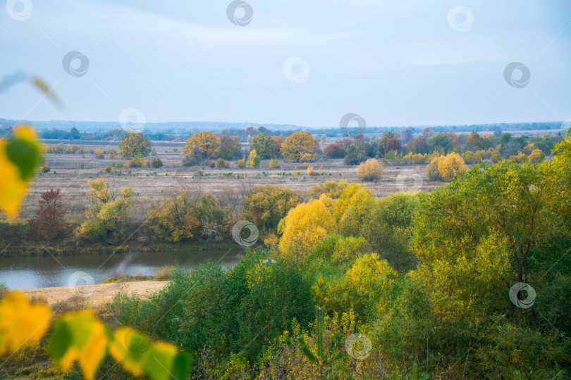 Скачать Природа в Солотче. Вид с Лысой горы на реку Старица фотосток Ozero