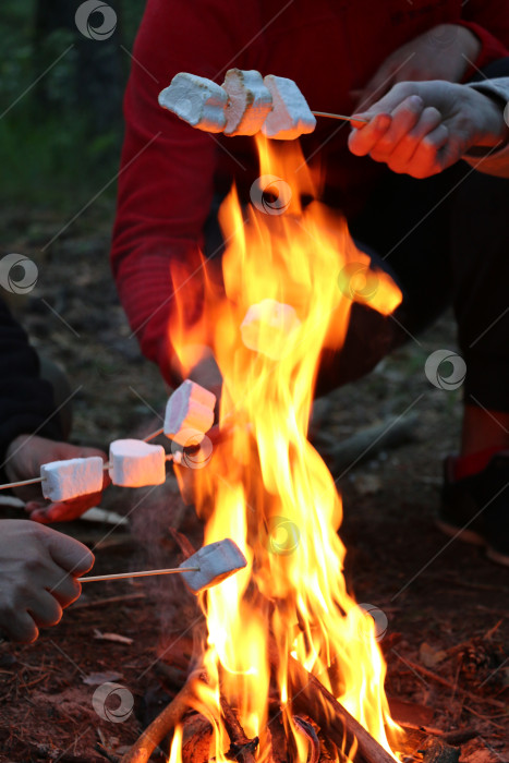 Скачать маршмелоу на костре фотосток Ozero